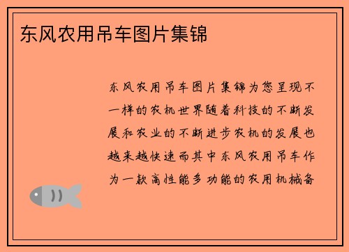 东风农用吊车图片集锦