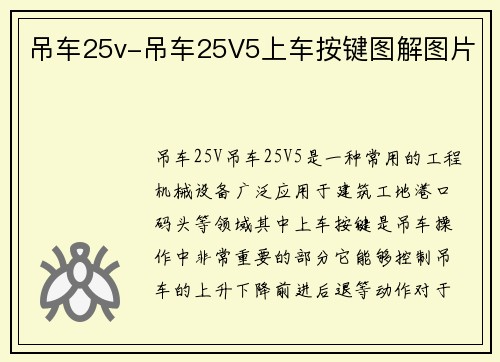 吊车25v-吊车25V5上车按键图解图片