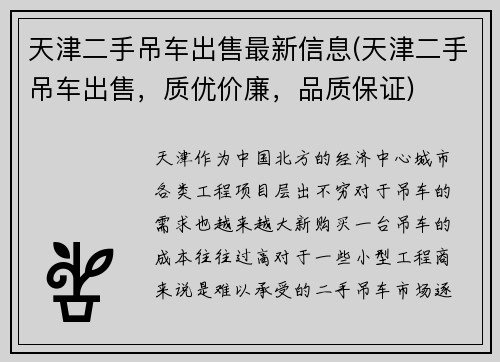 天津二手吊车出售最新信息(天津二手吊车出售，质优价廉，品质保证)