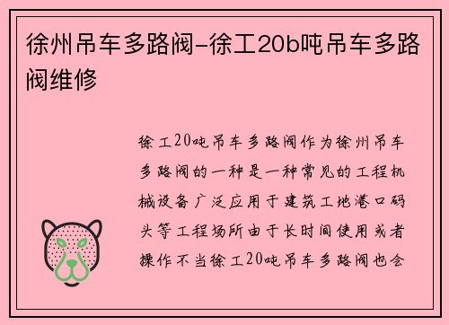 徐州吊车多路阀-徐工20b吨吊车多路阀维修
